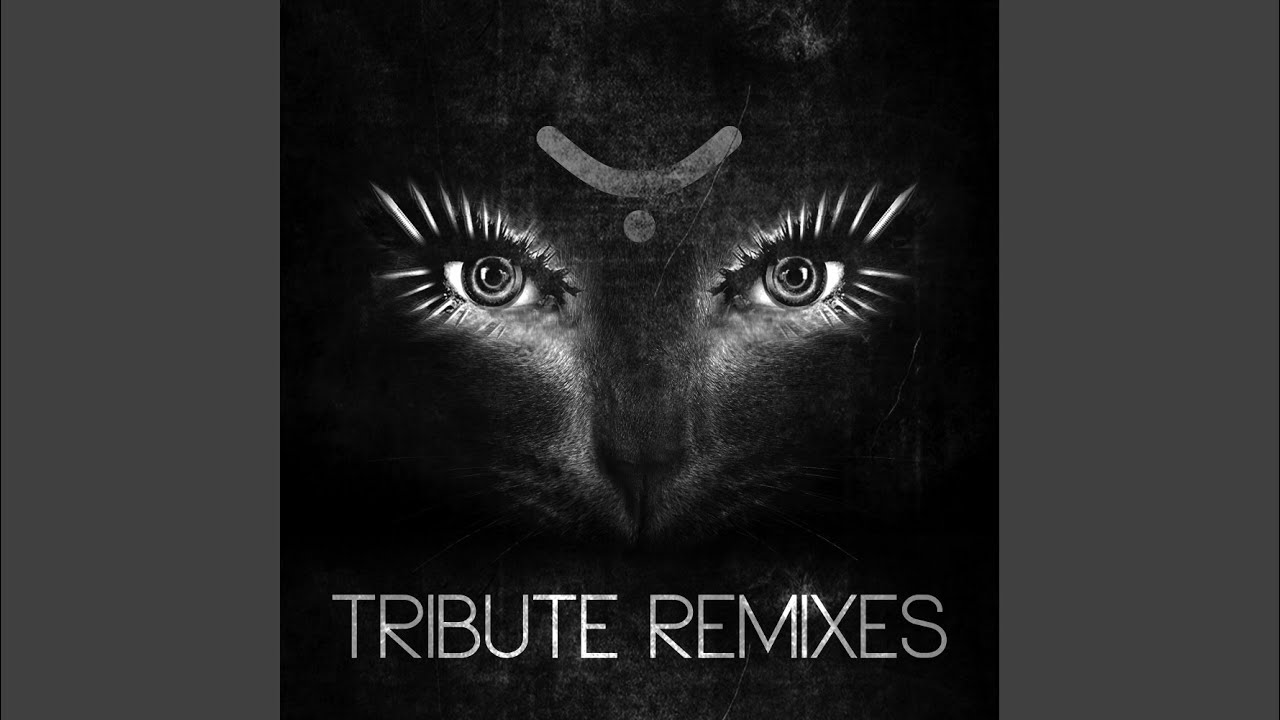 Hardhouse Raver (DJ Thera Remix)