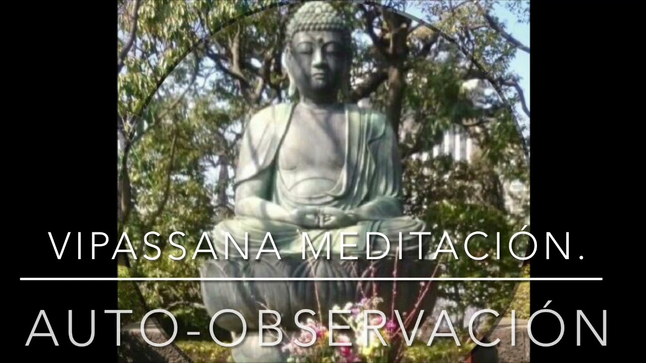 Dia 1/10.  Goenka /// CURSO Vipassana meditación