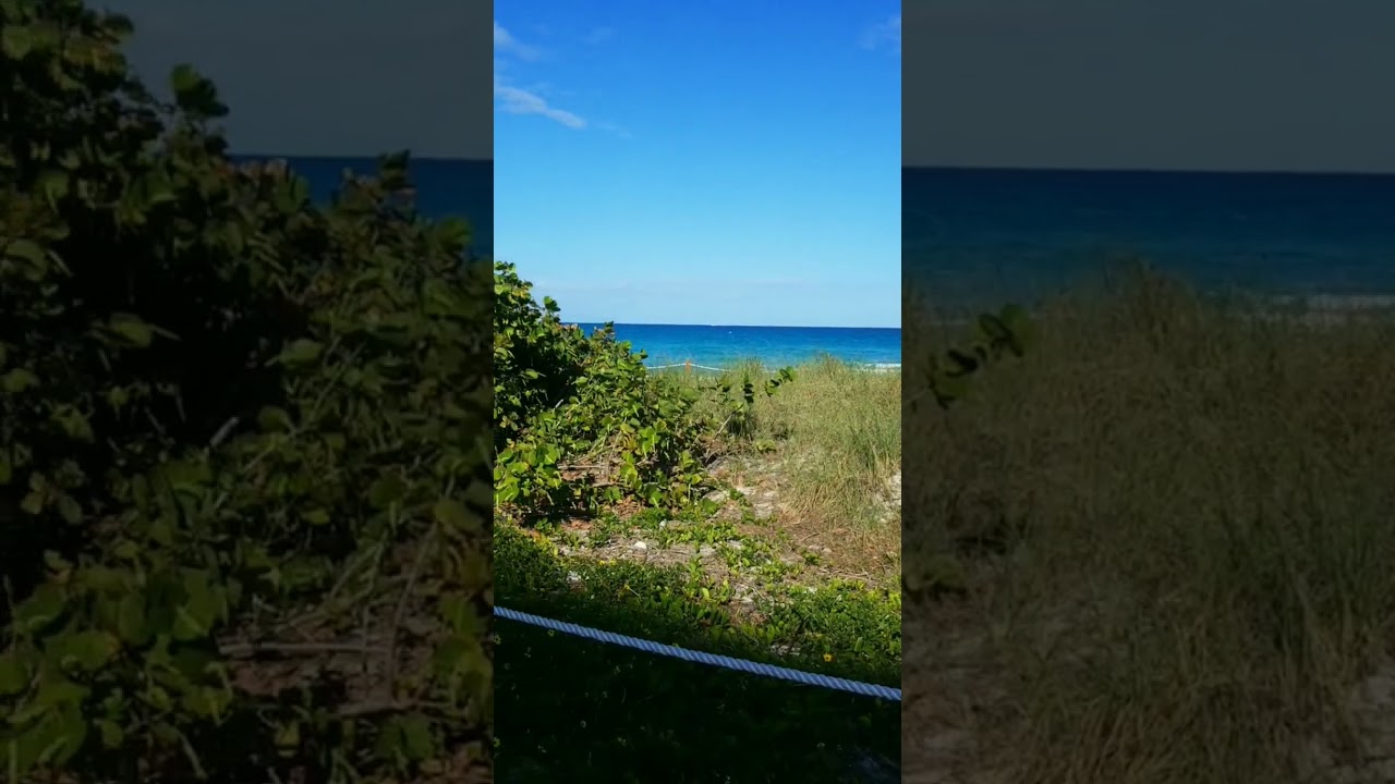 Surfside Florida