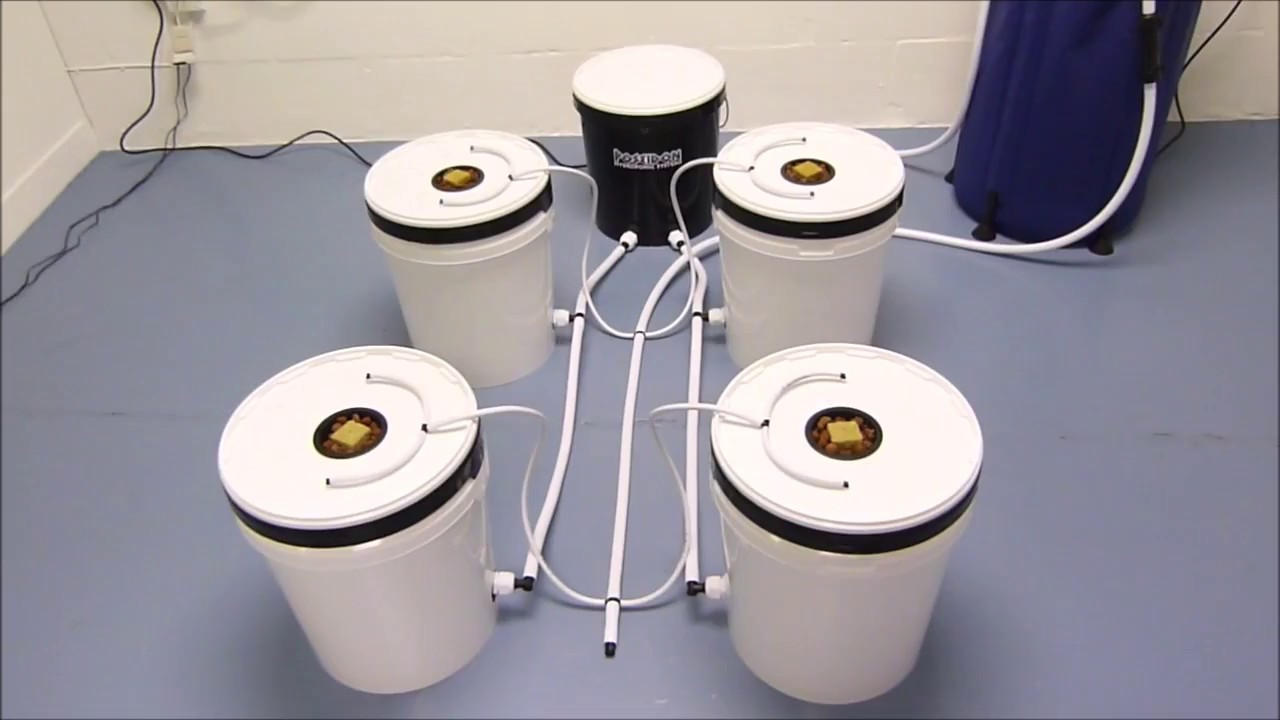 Vortex Aeroponics - Poseidon Hydroponic Systems
