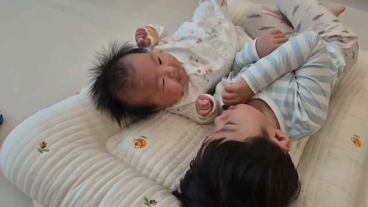 복시리 튼시리 남매 아침모습 #힐링영상 