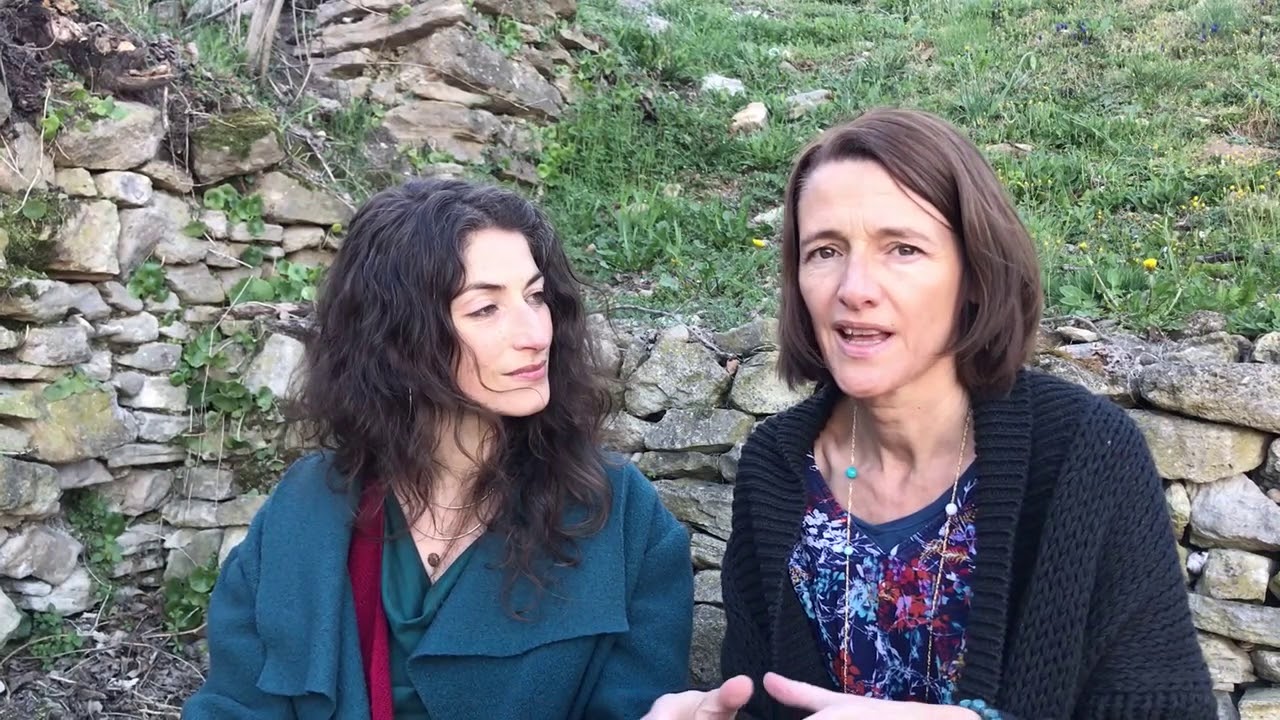 Introducing the Ocean Tree Jan '20