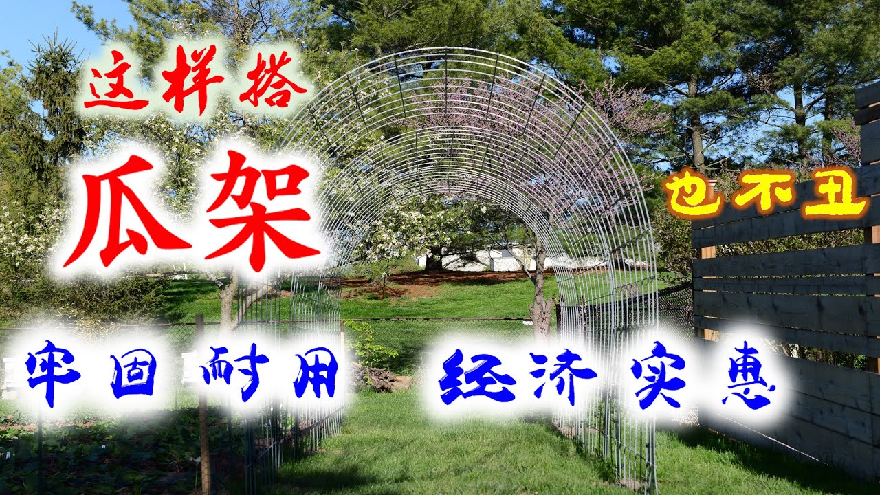 瓜架子这样搭，牢固，耐用，经济实惠，看起来也不丑
