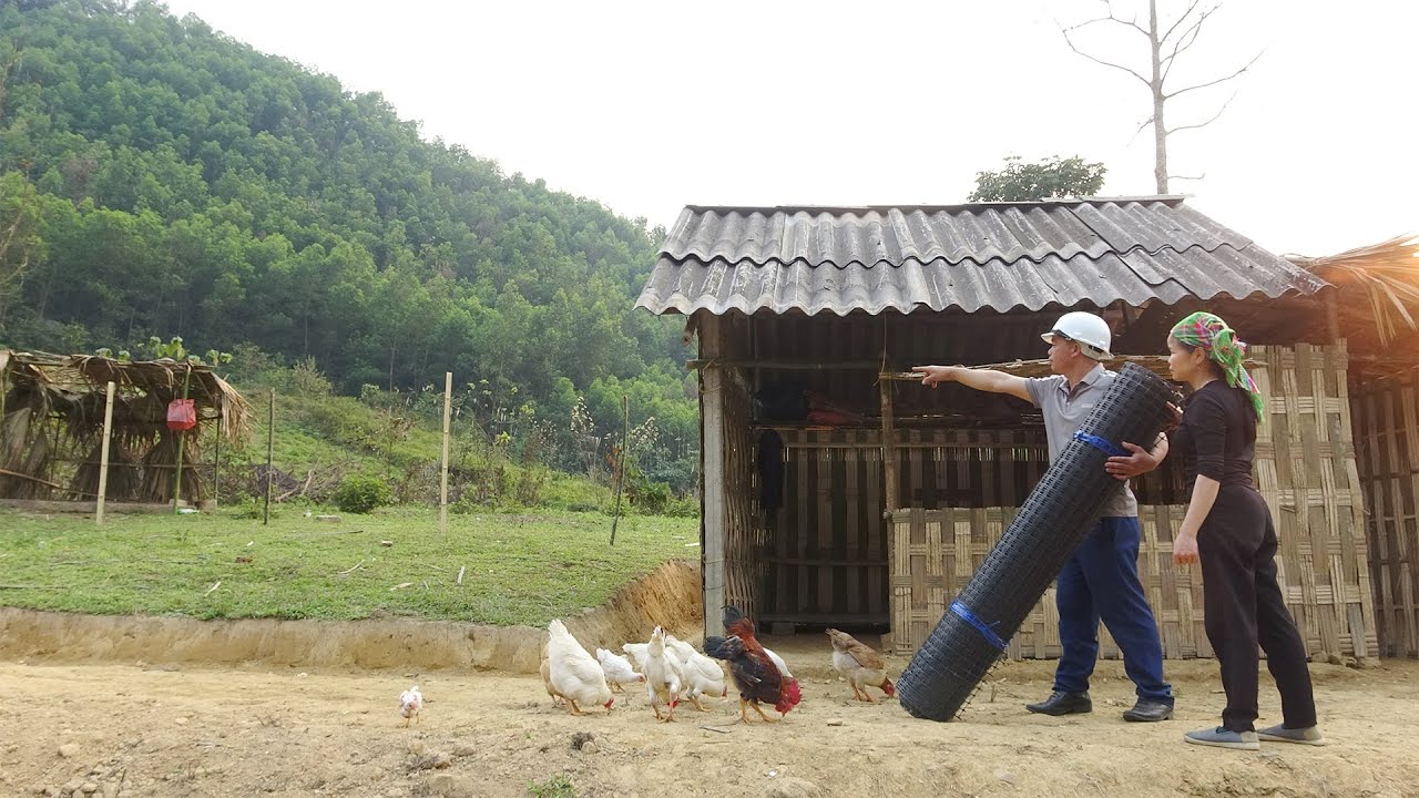 Kind CEO Help Single Mother Nhinh Build FENCE Around Home