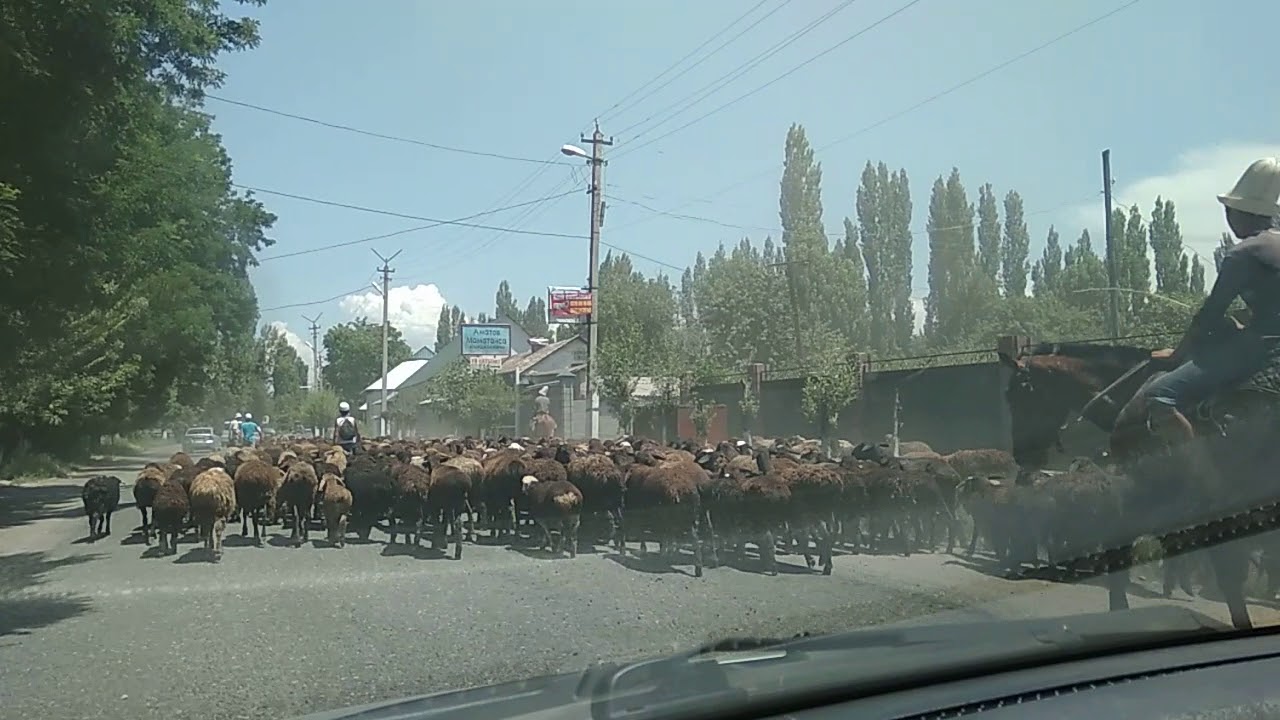 Трасса: МЫРЗАКЕ айылы. Комментарийсиз. 19.06.2018.