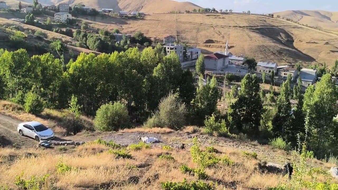 Muş , kale bağları 25.08.2024