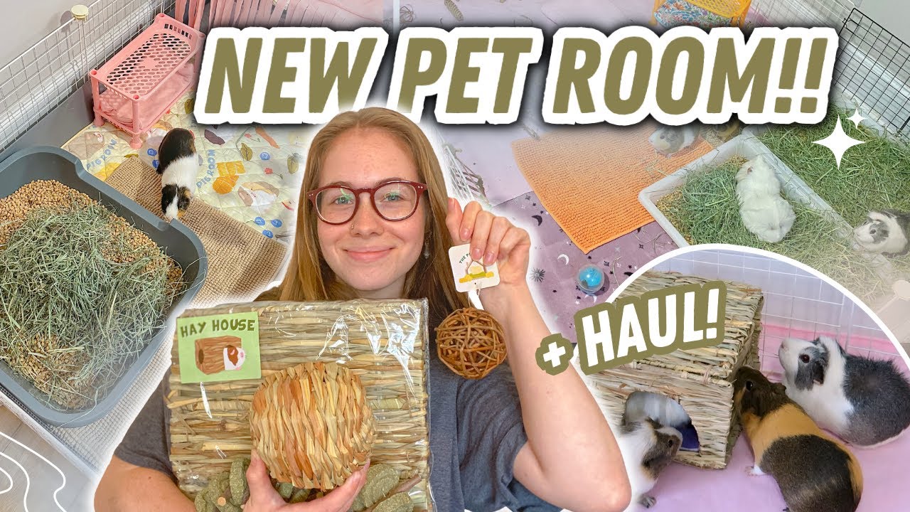 NEW GUINEA PIG ROOM + HAUL! 💗🐽