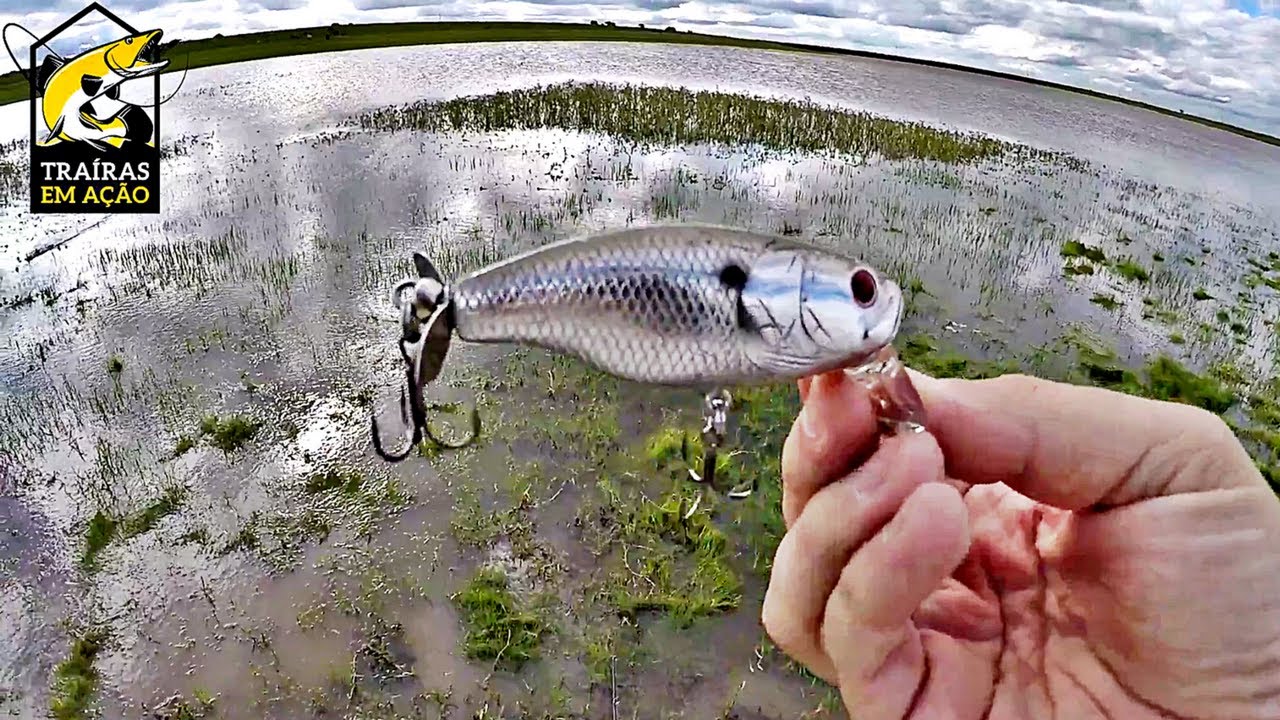 BUZZJET JR. DA DEPS - ISCA JAPONESA NA PESCA DE TRAÍRA