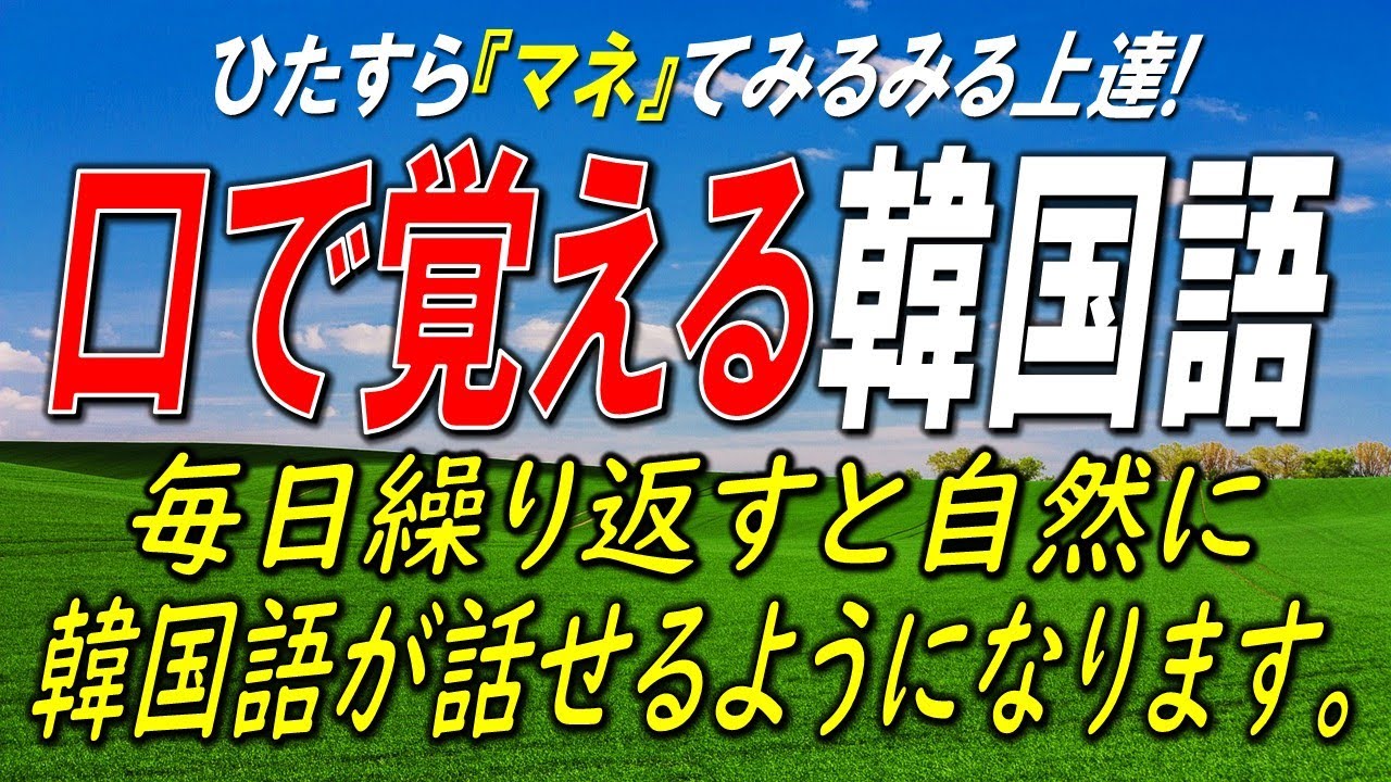 【韓国語初心者必見】必ず覚えておきたい✨韓国語初級文型63選✨【韓国語聞き流し】