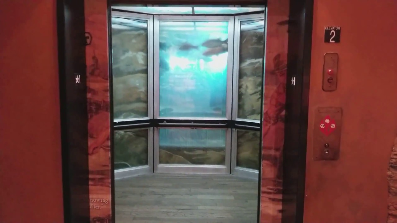 ThyssenKrupp Scenic Elevator #2 Bass Pro Shops Mesa Riverview Phoenix, AZ