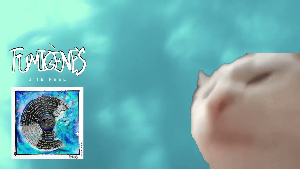 FUMIGÈNES - J'te feel (lyrics video)