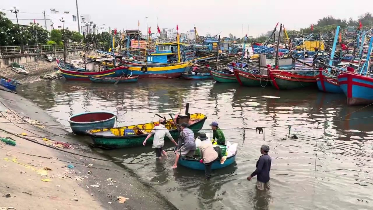 Cảng cá Bình Châu - 03.06.2025