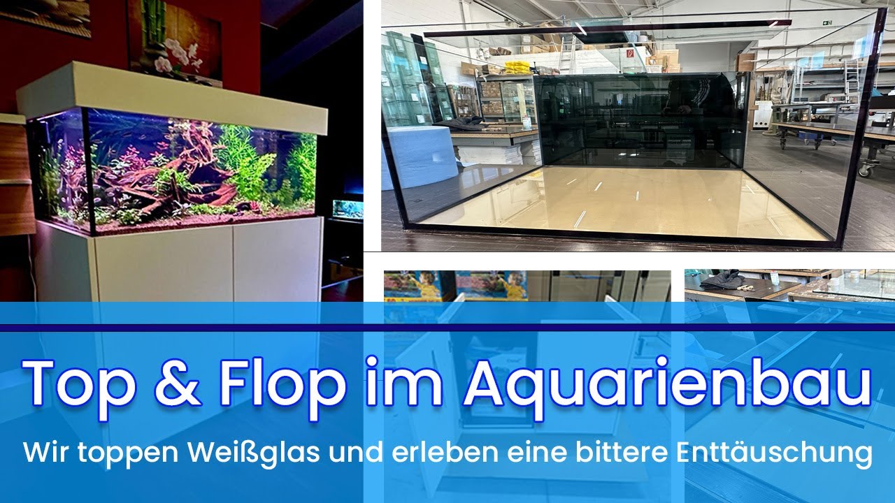Aqua-Mexx • Top & Flop im Aquarienbau - Infos zu Weißglas, lackierten Rückscheiben und vielem mehr