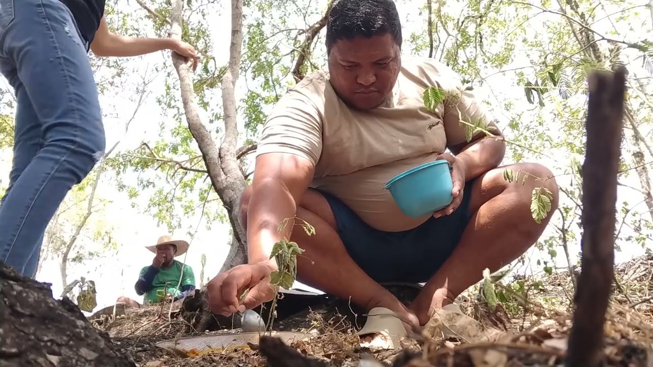 Sertanejo raíz 