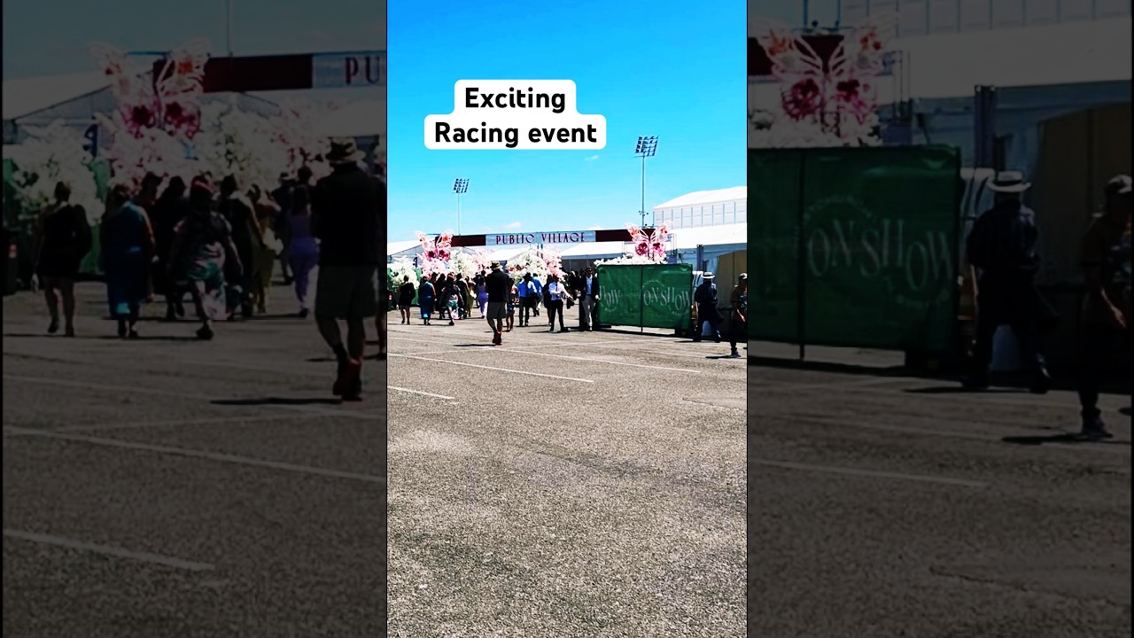 Ever betted on “Harness racing” ? 