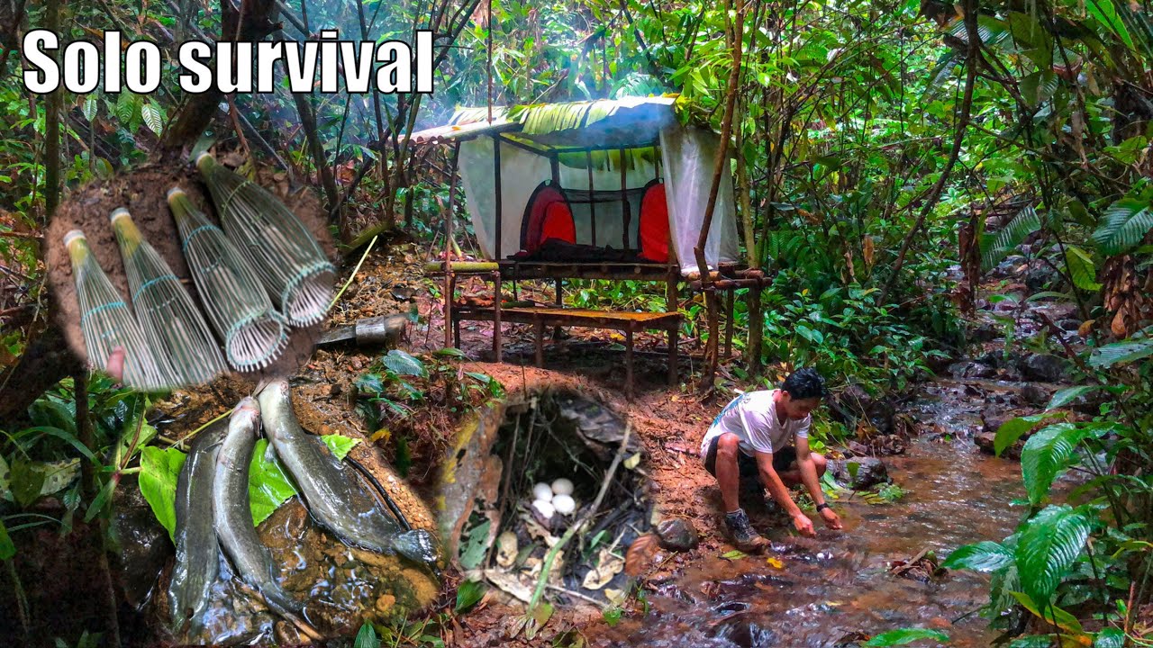 Bertahan hidup sendirian dalam hutan dengan mengandalkan bahan-bahan makanan dari alam liar 🔥⛺️