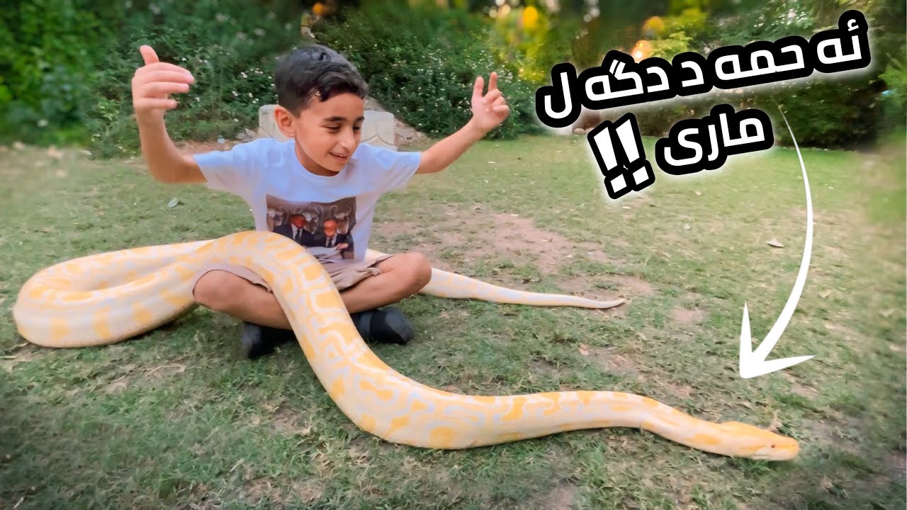 لينا و ئەحمەد ل باغچێ گيانەوەران - مارر لسەر دەستێ ئەحمەدى بوو 😱🐍!! | Duhok Zoo