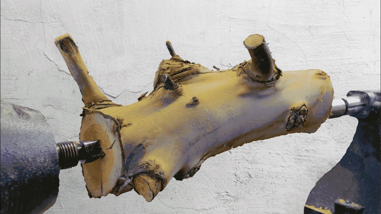 Woodturning - The Enigmatic Eucalyptus