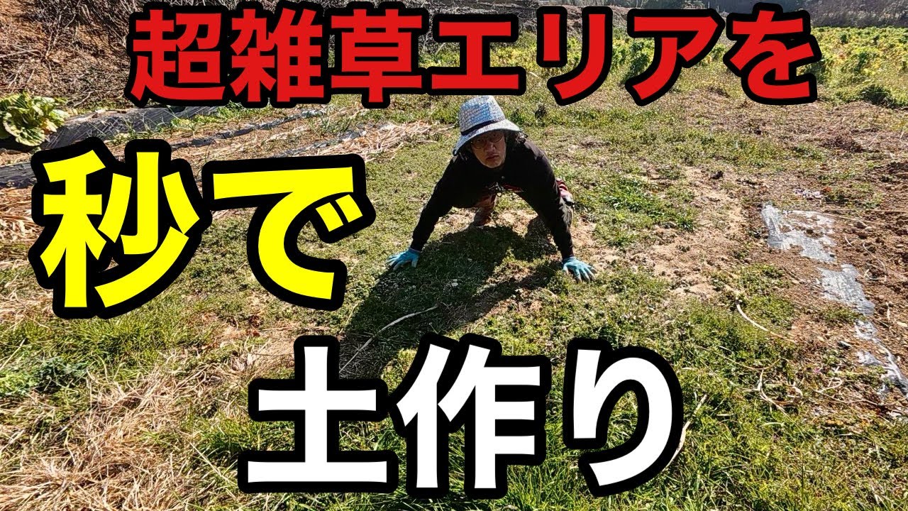 【超低コスト】掟破りの土づくり教えます　　　　【園芸超人カーメン君】