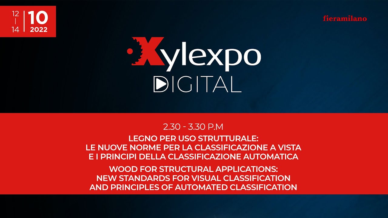 Legno per uso strutturale