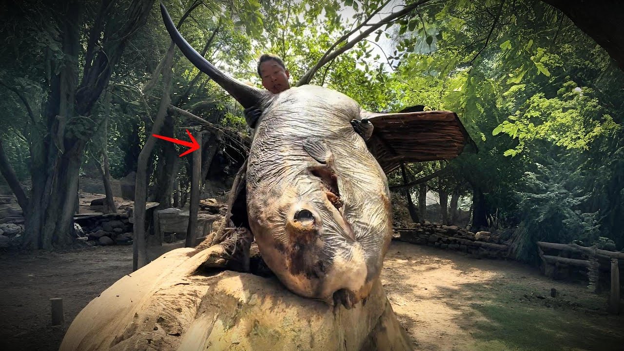 Thử Thách Sinh Tồn Trên Đảo Hoang - Kỹ Năng Bắt Cá Khủng