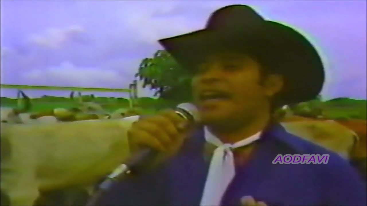 EL REY DEL PASAJE - MUSICA LLANERA -  VIVO - 1983