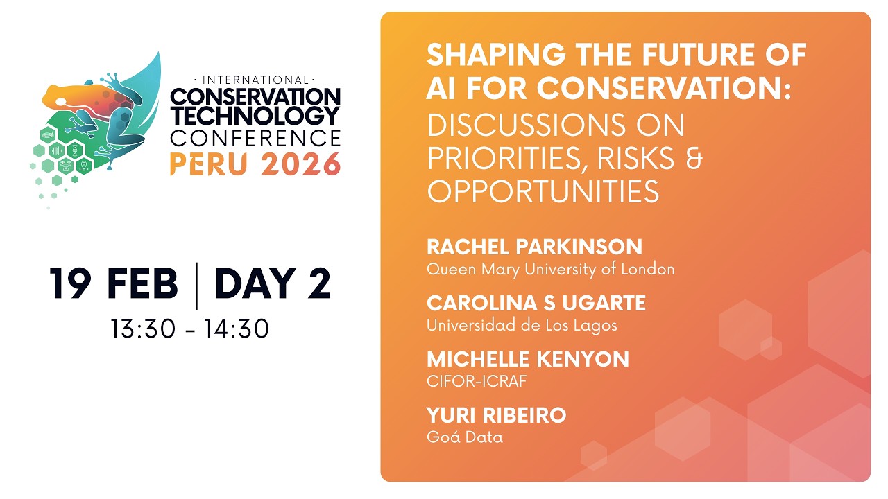 Shaping the Future of AI for Conservation: Discussions on Priorities, Risks & Opportunities