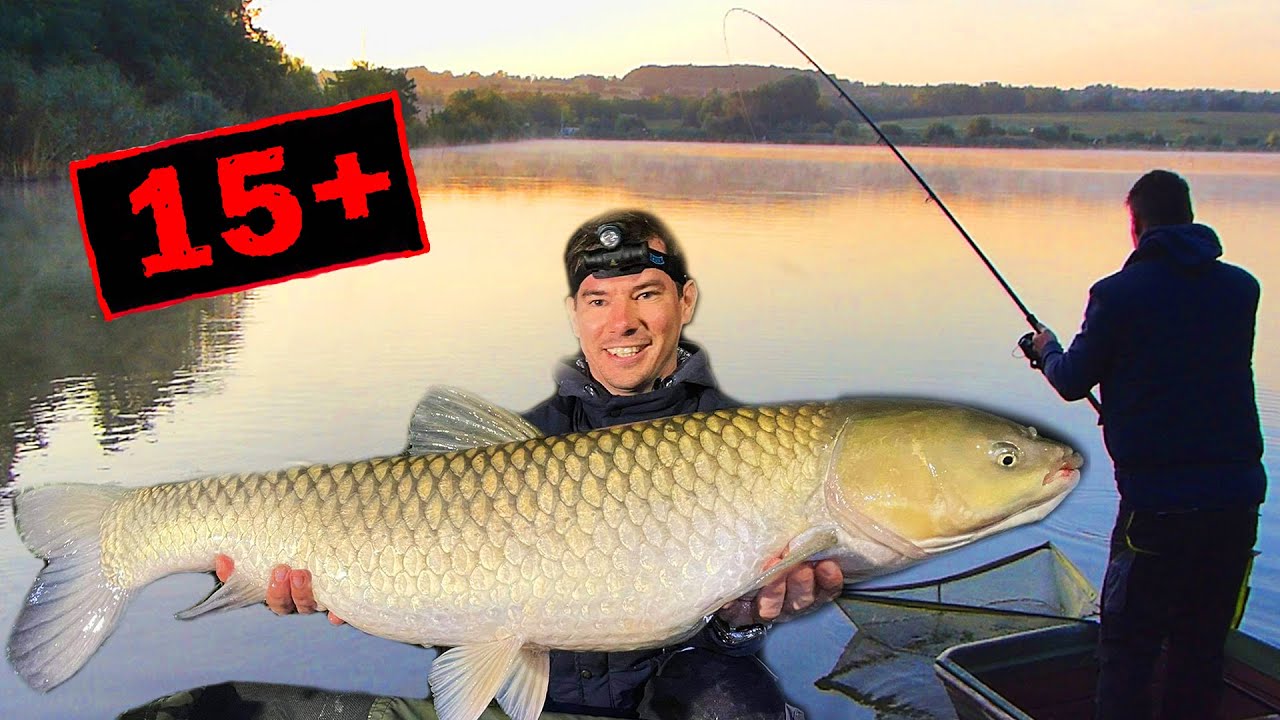 Hétköznapi Horgász #26 Don Carp Lake - Feederbottal a nagy halak birodalmában