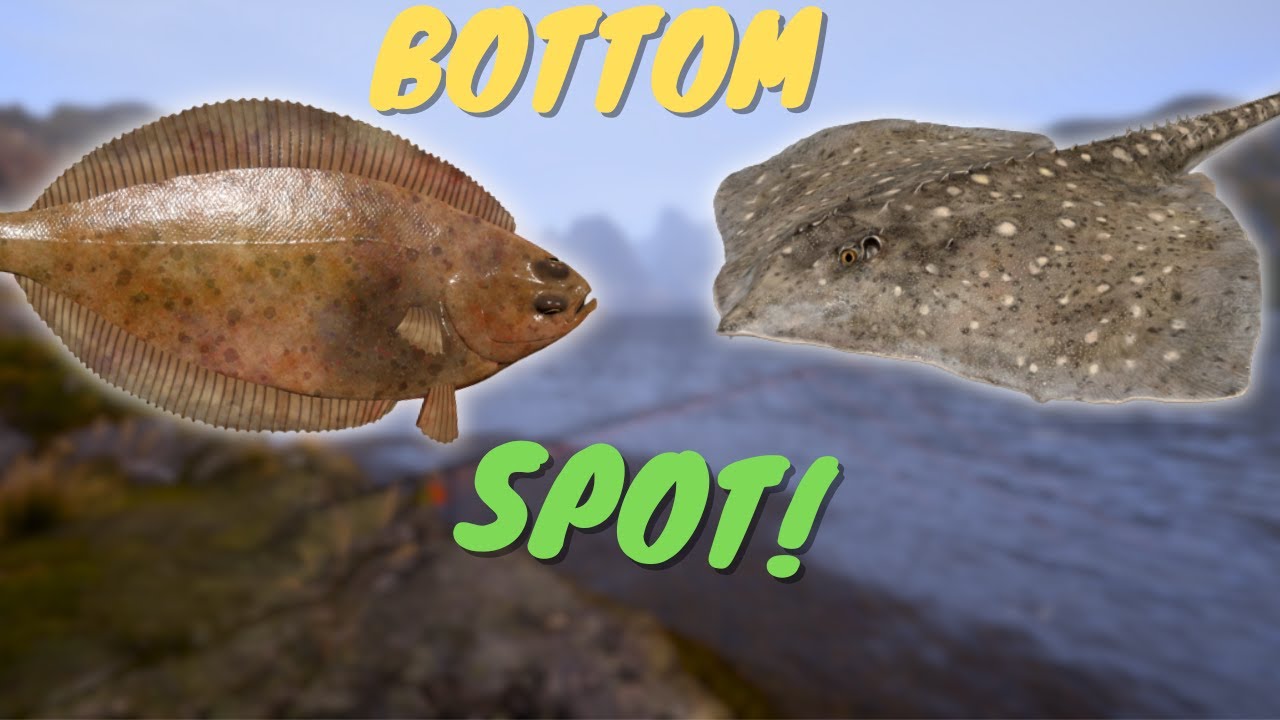 BOTTOM FISHING SPOT IN NORWAY SEA! #819 Russian fishing 4