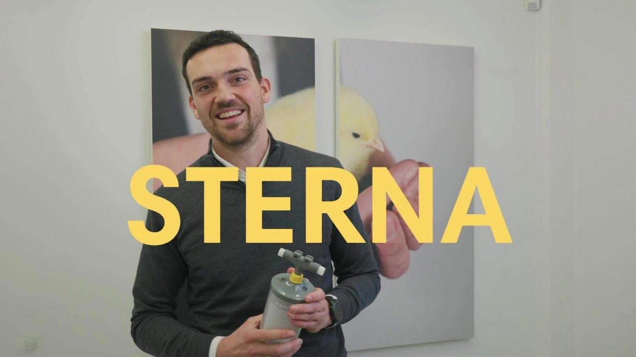 HATO STERNA: Flicker-Free Lighting for H-Type Layer Cages
