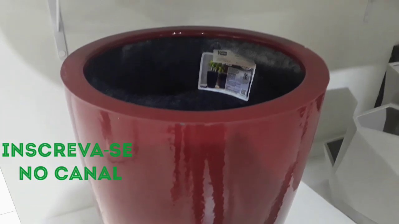Vaso de plantas / plantas na terra e Vaso