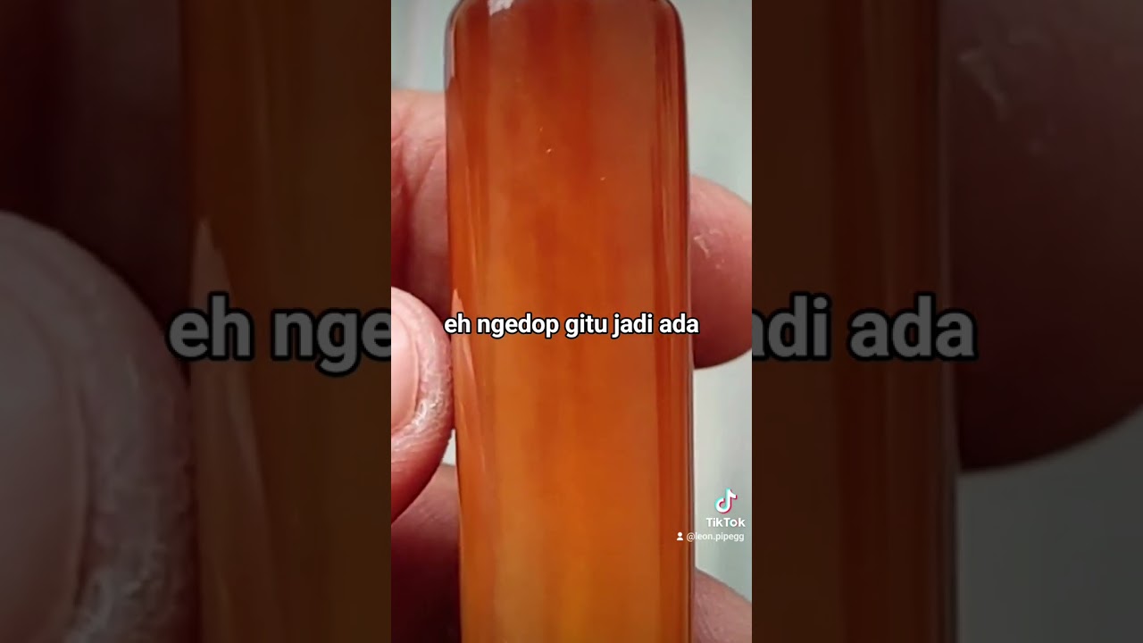 Penasaran bagaimana ciri Caling? saksikan video ini sampai selesai