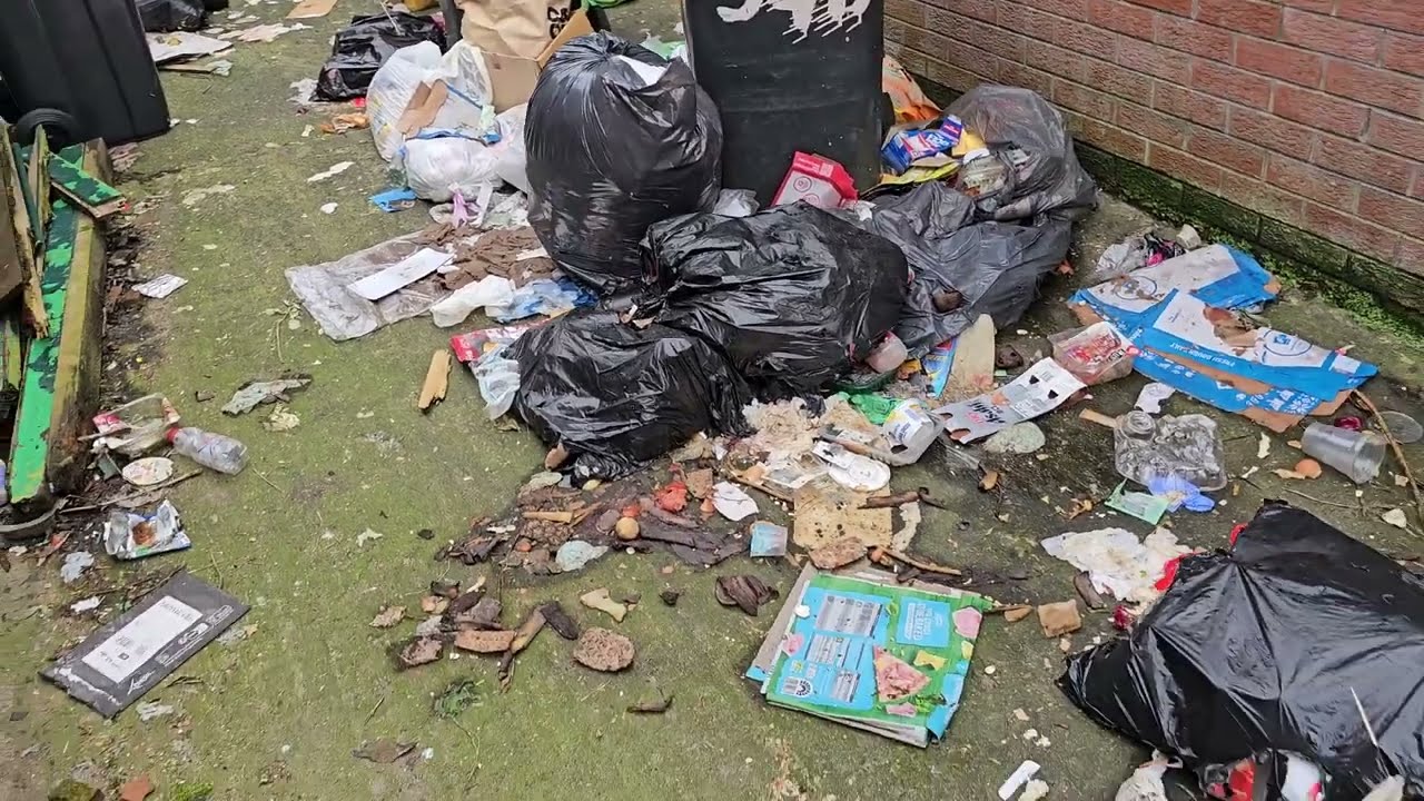 Tates Avenue unemptied wheelie bins crises