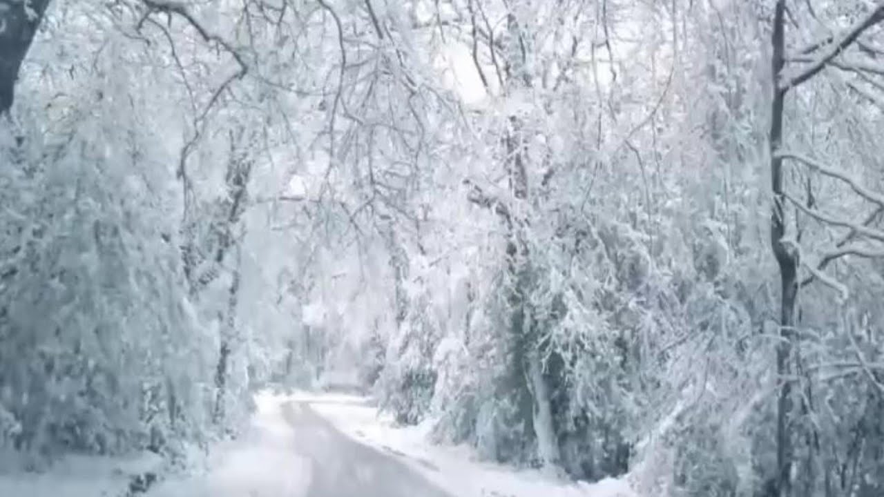 Deep Sleep Blizzard ❄️ Heavy Snowstorm White Noise for Sleeping All Night (11 Hours)