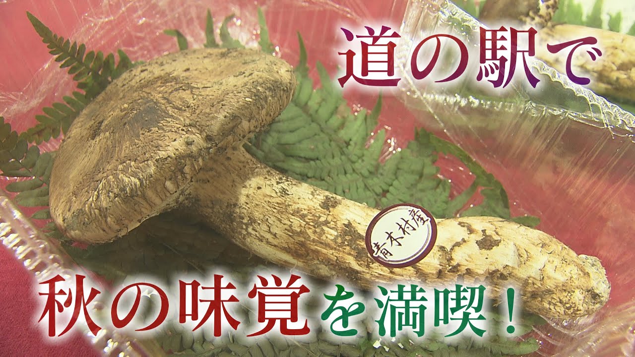 松茸&ブドウ&幻のフルーツも！道の駅で秋の味覚を満喫（2024年9月20日放送abnステーション）