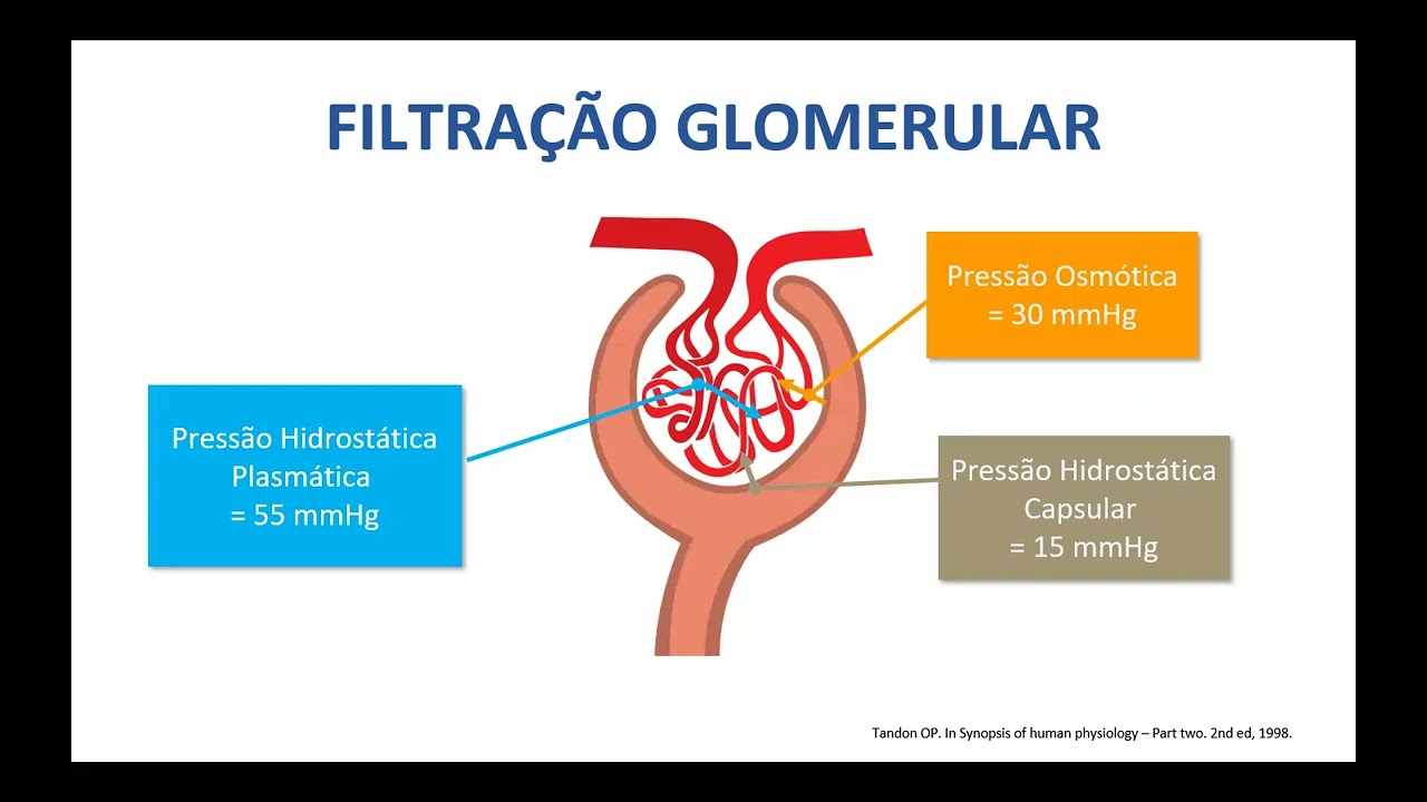Injúria renal aguda - Dr Gabriel Montezuma