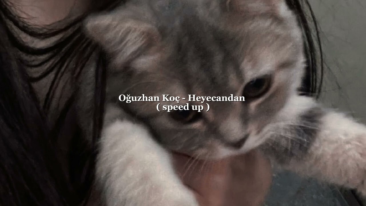 Heyecandan - #speed up