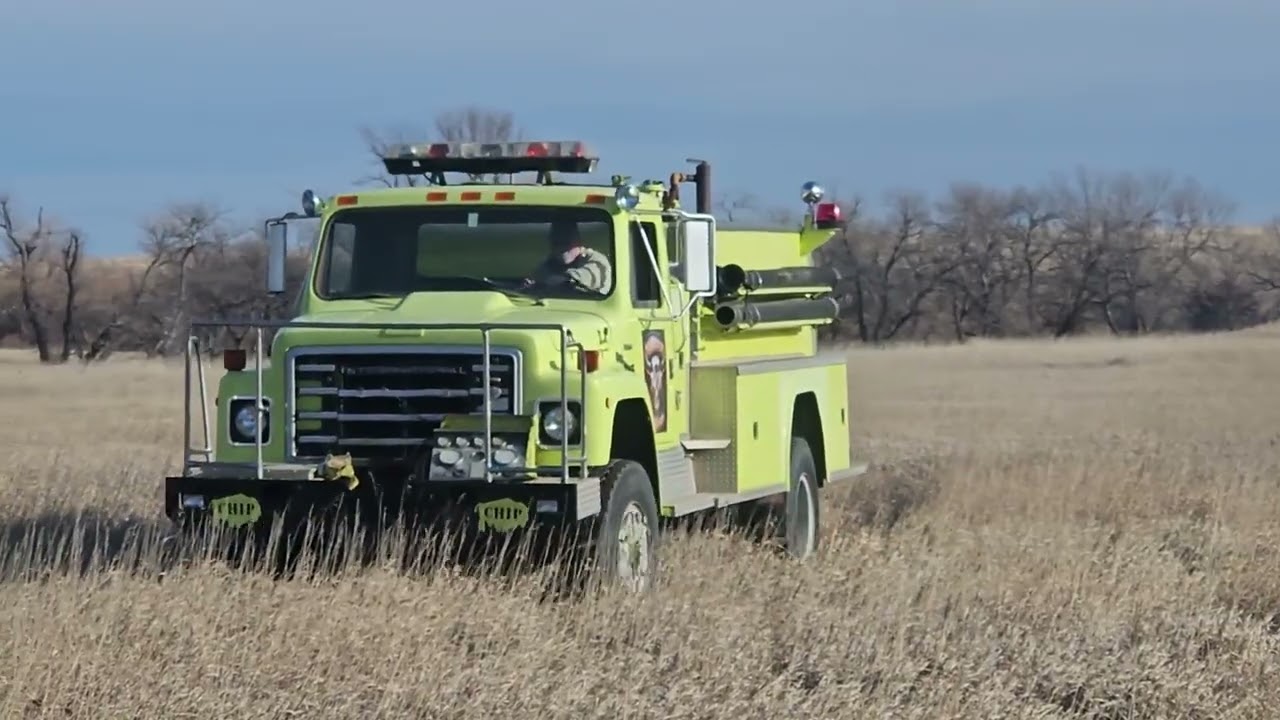1981 INTERNATIONAL S1800 For Sale