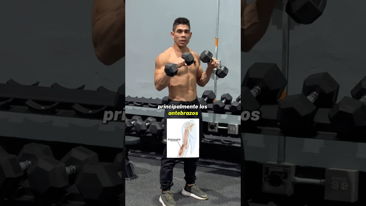 C&oacute;mo trabajar b&iacute;ceps, braquial y antebrazos con mancuernas 💪 #fitness #gym #biceps