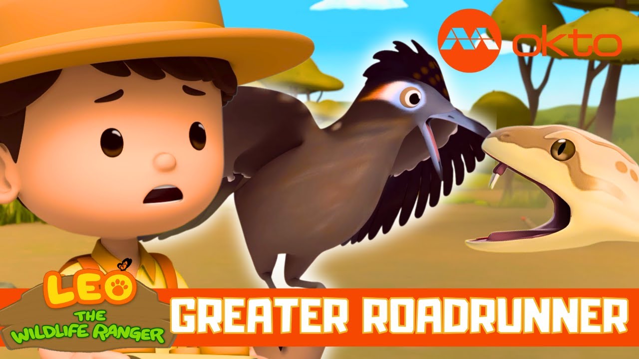 Rescuing GREATER ROAD RUNNER Adventure 🦅🏜️🚨| Leo the Wildlife Ranger Spinoff S6E18 | @mediacorpokto