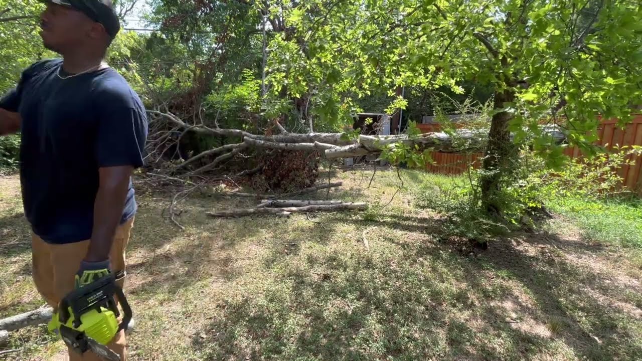 Fallen tree removal in Grand Prairie, Texas!!