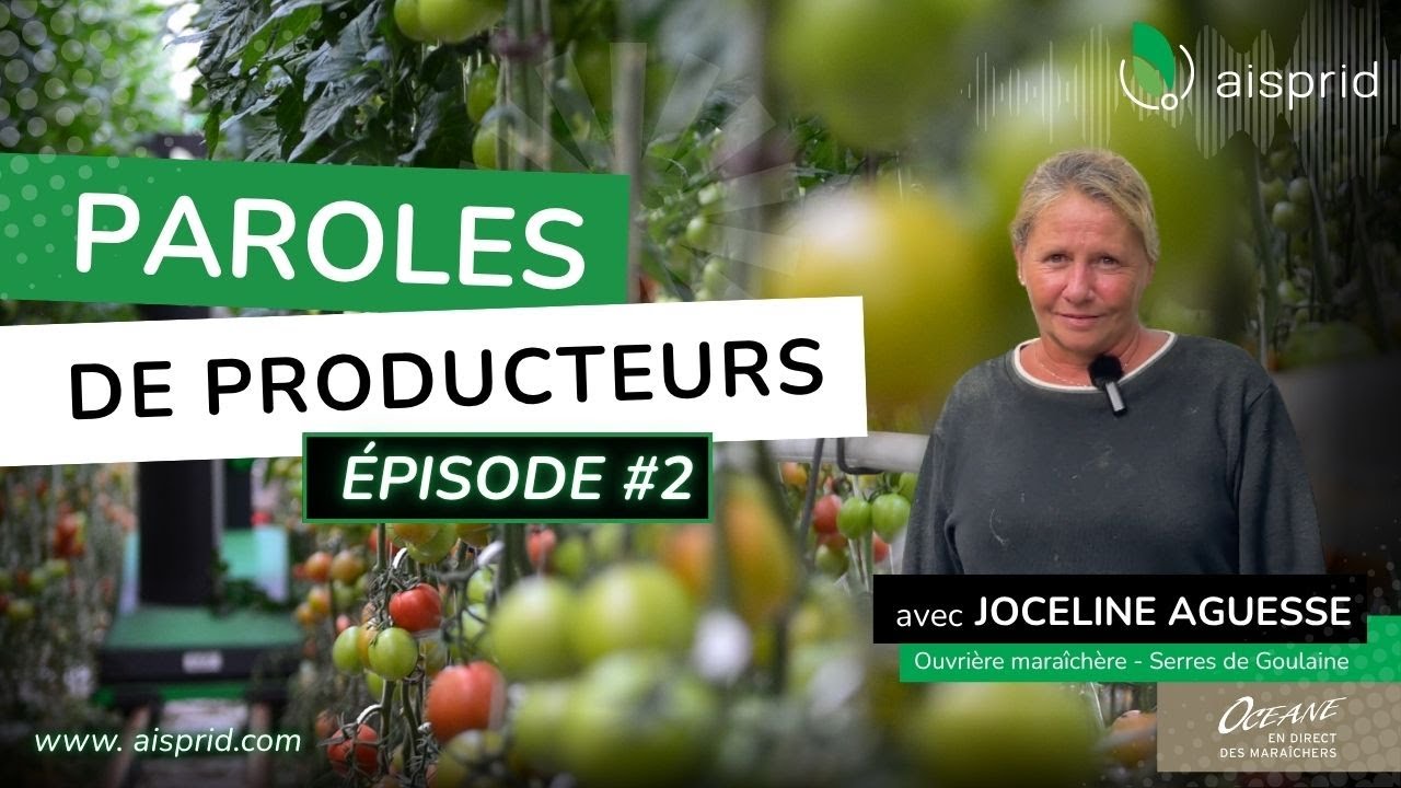 🍅 PAROLES DE PRODUCTEURS - Épisode 2 avec Joceline Aguesse - Coopérative Océane
