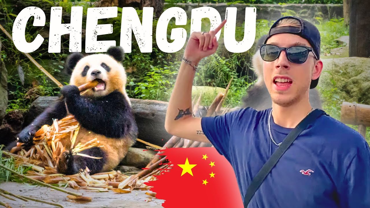 Fake Pandas in China? We Had to Find Out 🐼🇨🇳