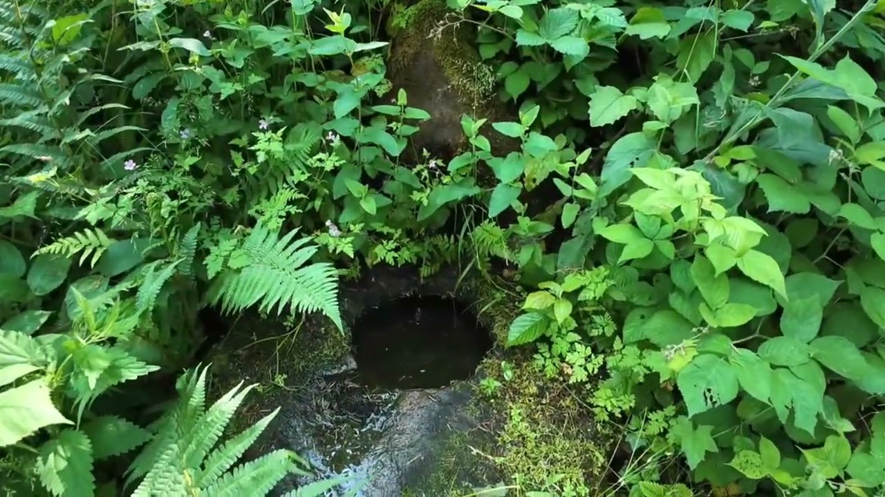Übernachtung im Trekkingcamp Schnaitberg Eck