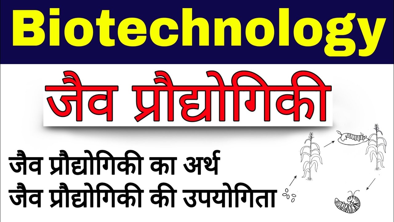 जैव प्रौद्योगिकी (Biotechnology)| jaiv praudyogiki | जैव प्रौद्योगिकी की उपयोगिता | biology ncert