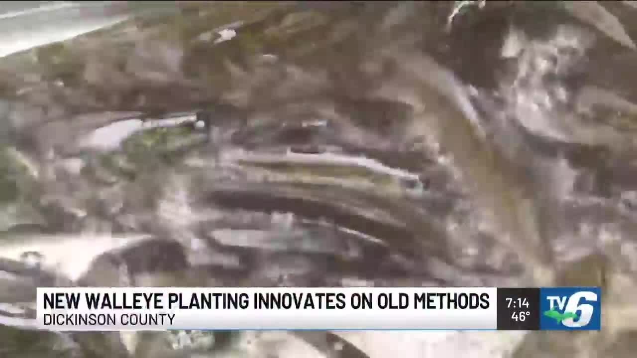 Walleye added to Dickinson County lakes