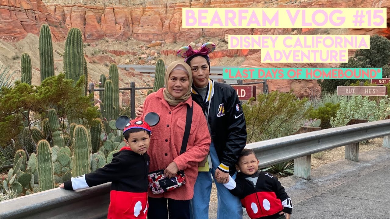 BEARFAM VLOG #15 EDITED VERSION || DISNEY CALIFORNIA ADVENTURE (HOMEBOUND LAST DAYS)