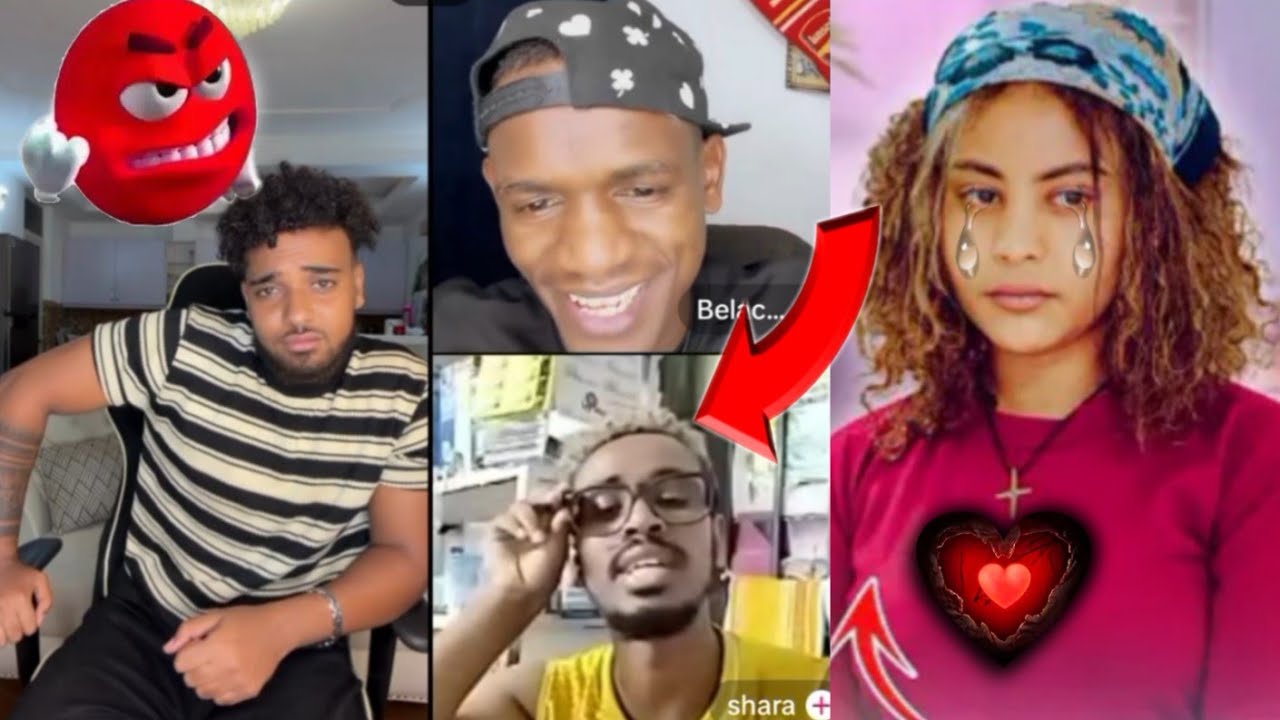 ከበርኬ ጋር በሃይሚ በተደረገ ከባድ ውጊያ ጨርሰዋል፤ በርክን በጣም ደነገጠ።