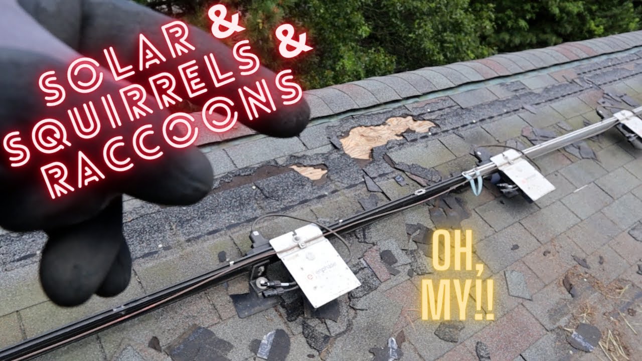 Solar panel takedown for roof replacement!! Due to critter damage, it NEEDS TO COME DOWN!!