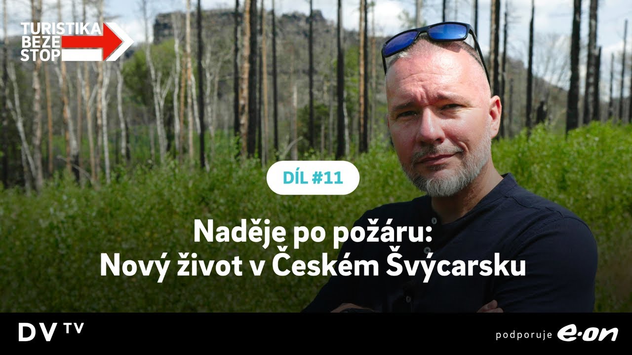 Před dvěma lety spáleniště, dnes obdiv k tomu, co příroda dokáže. Jak se změnilo České Švýcarsko?